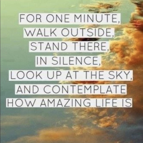 Pink Champagne/Wine Glasses - Picture 12 of 15